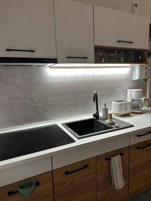 Zion Home Sibiu Dış mekan fotoğraf