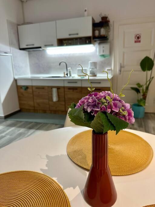 Zion Home Sibiu Dış mekan fotoğraf