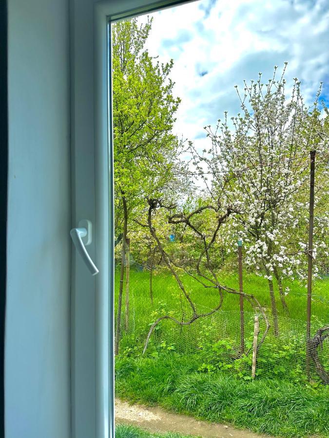 Zion Home Sibiu Dış mekan fotoğraf